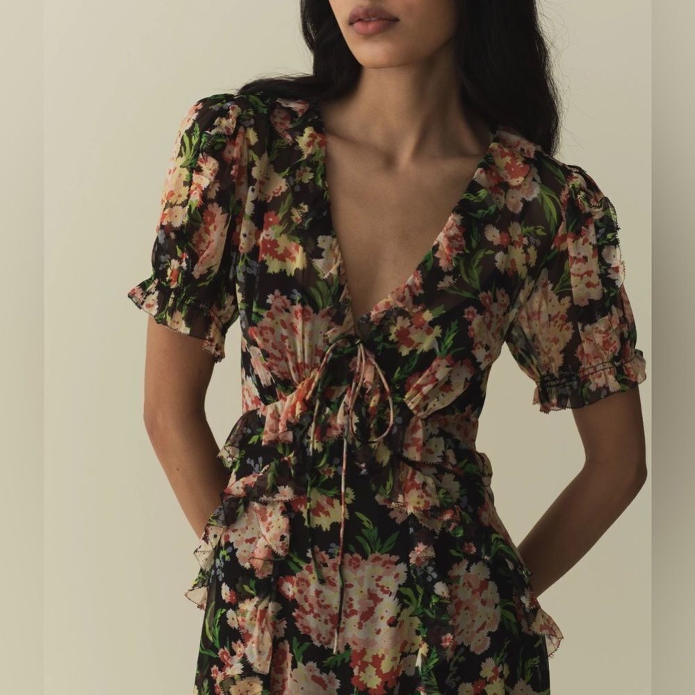 NWT DOEN Elizabeth Silk dress in Meadow Mirage - Picture 5 of 11